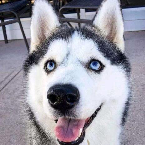 L꯭ₒ꯭ᵥ꯭ₑᩚ释怀ꦿ᭄୫゜