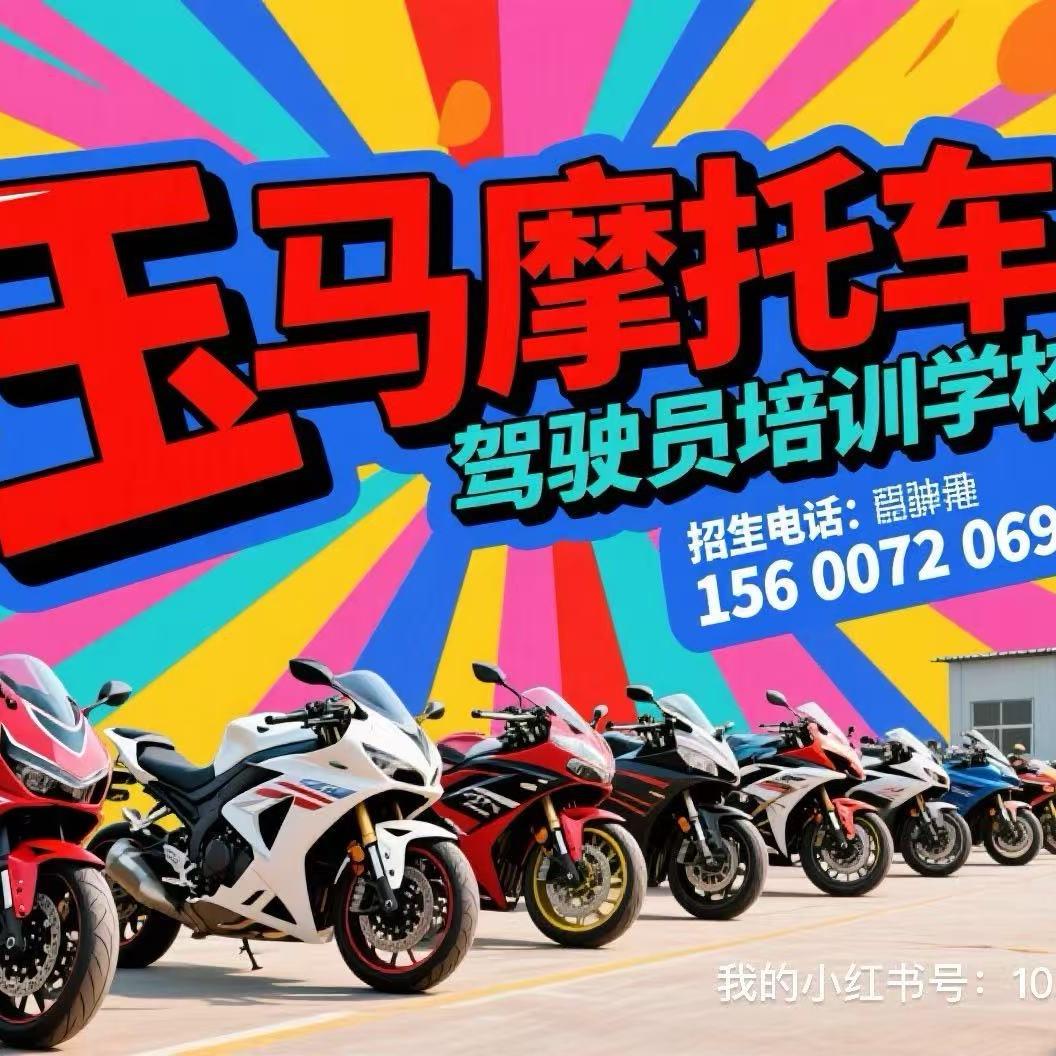 龙教练