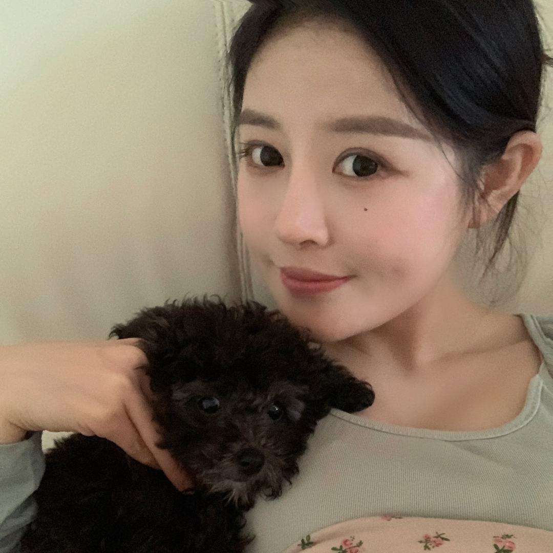 清陈