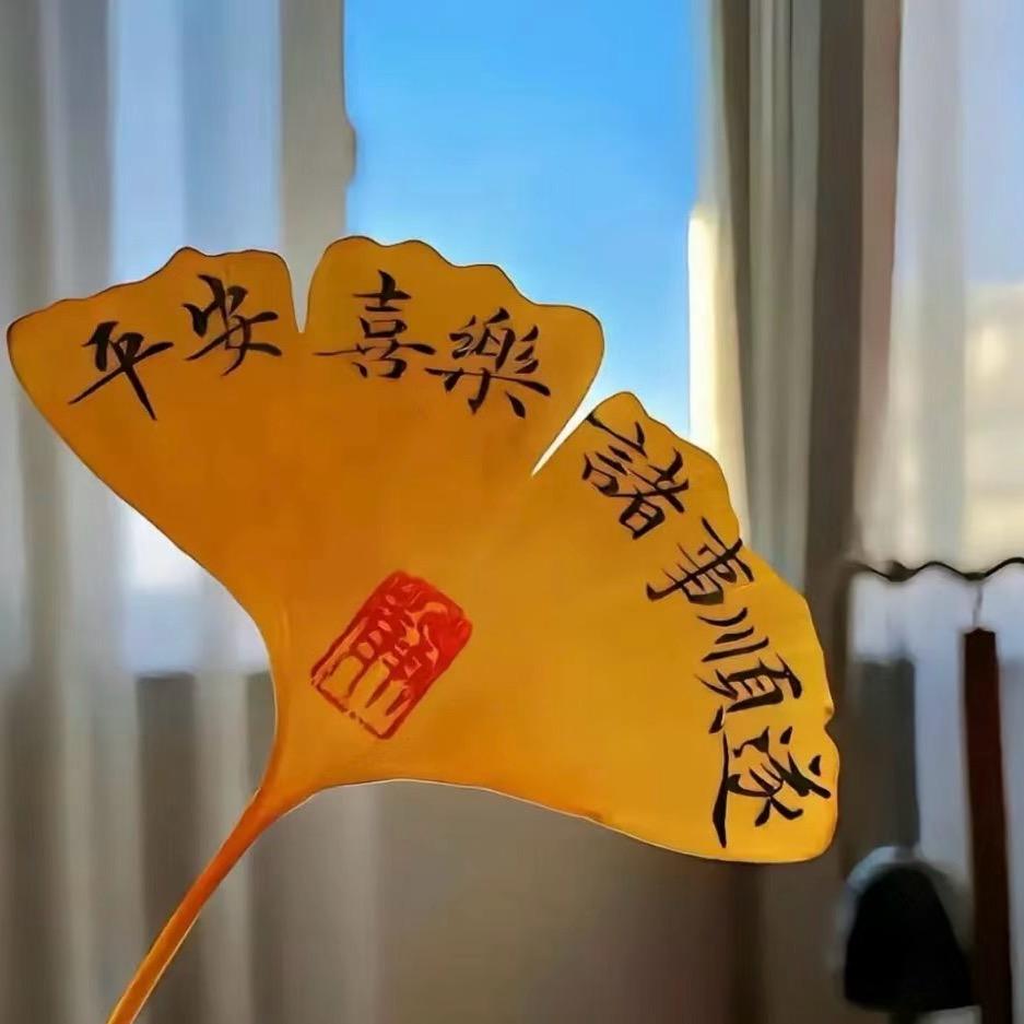 杨训商贸