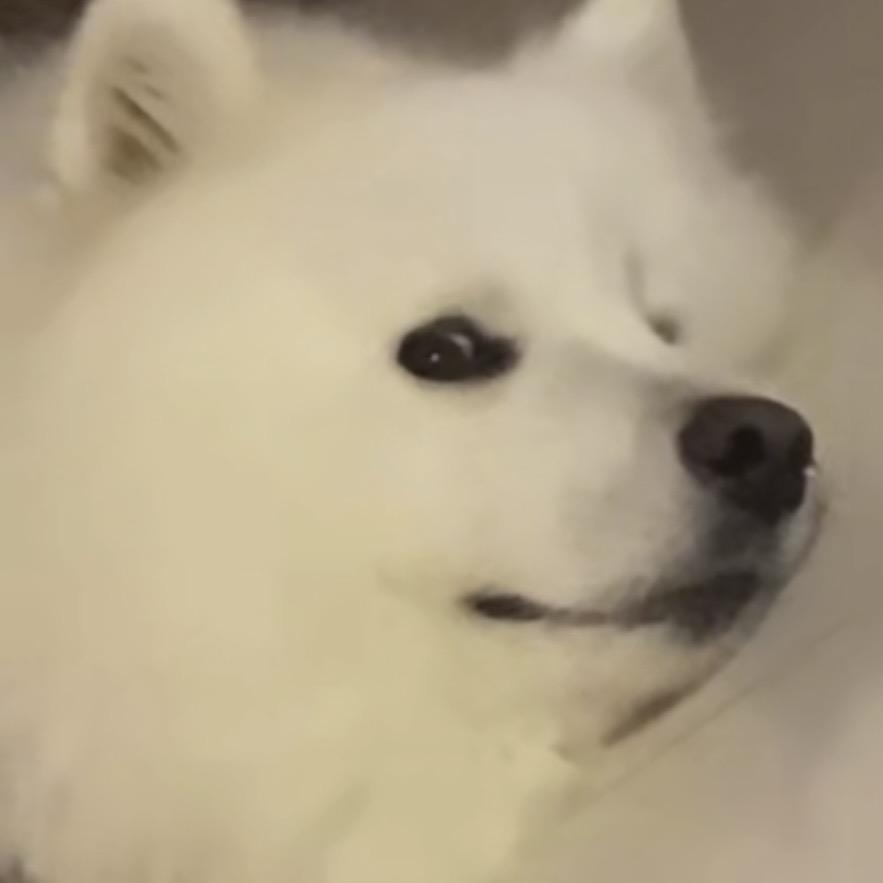 咕噜今天也胖胖| ᴥ•́ )✧