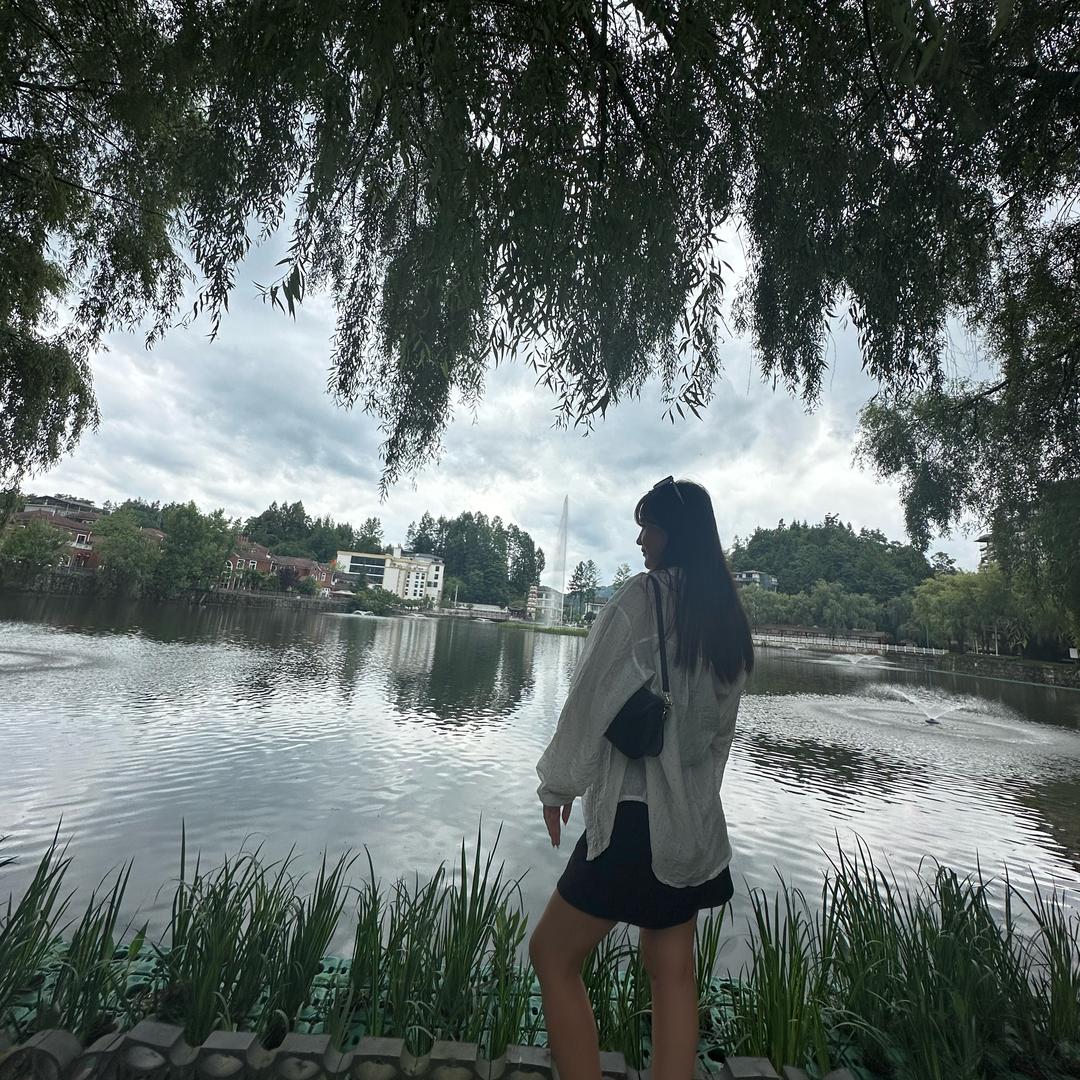 岛上春树。
