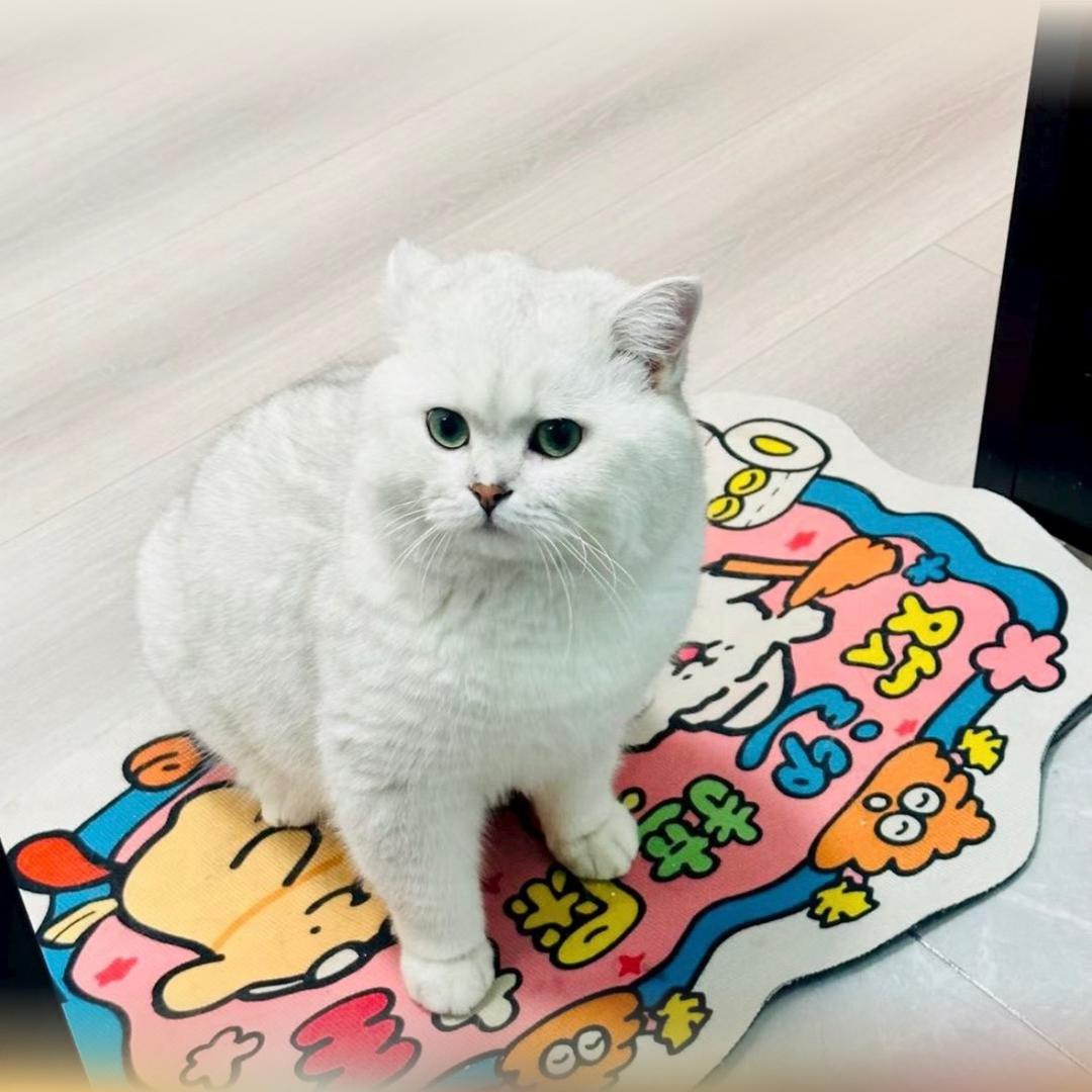 他晚睡