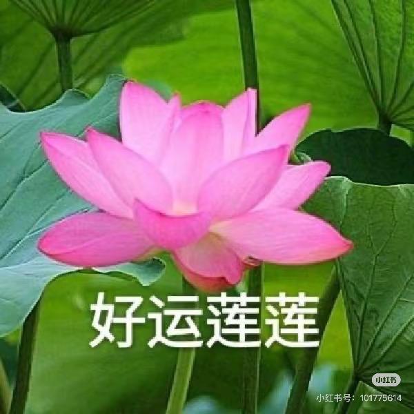 钱多事少退休早