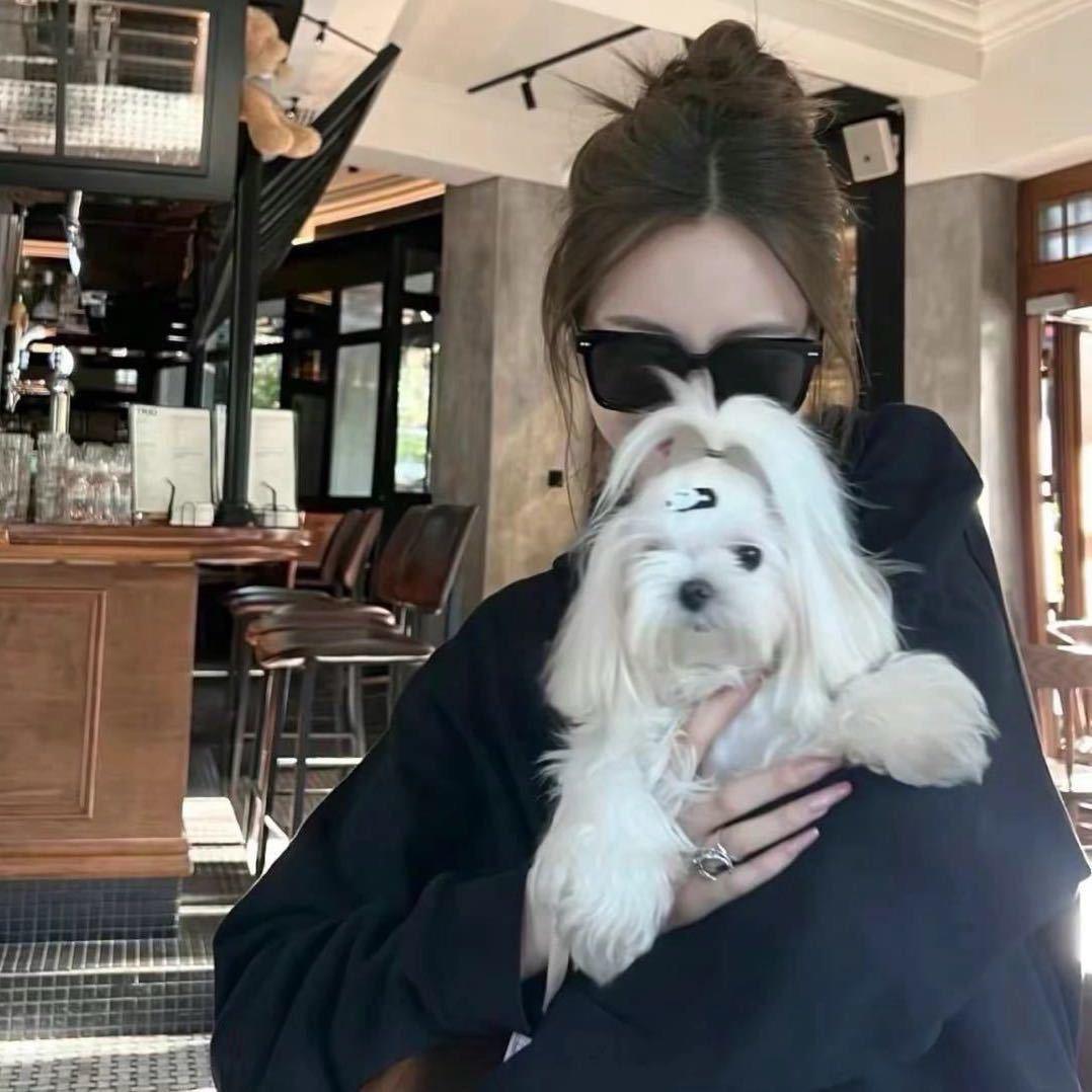 一只特立独行的猫·