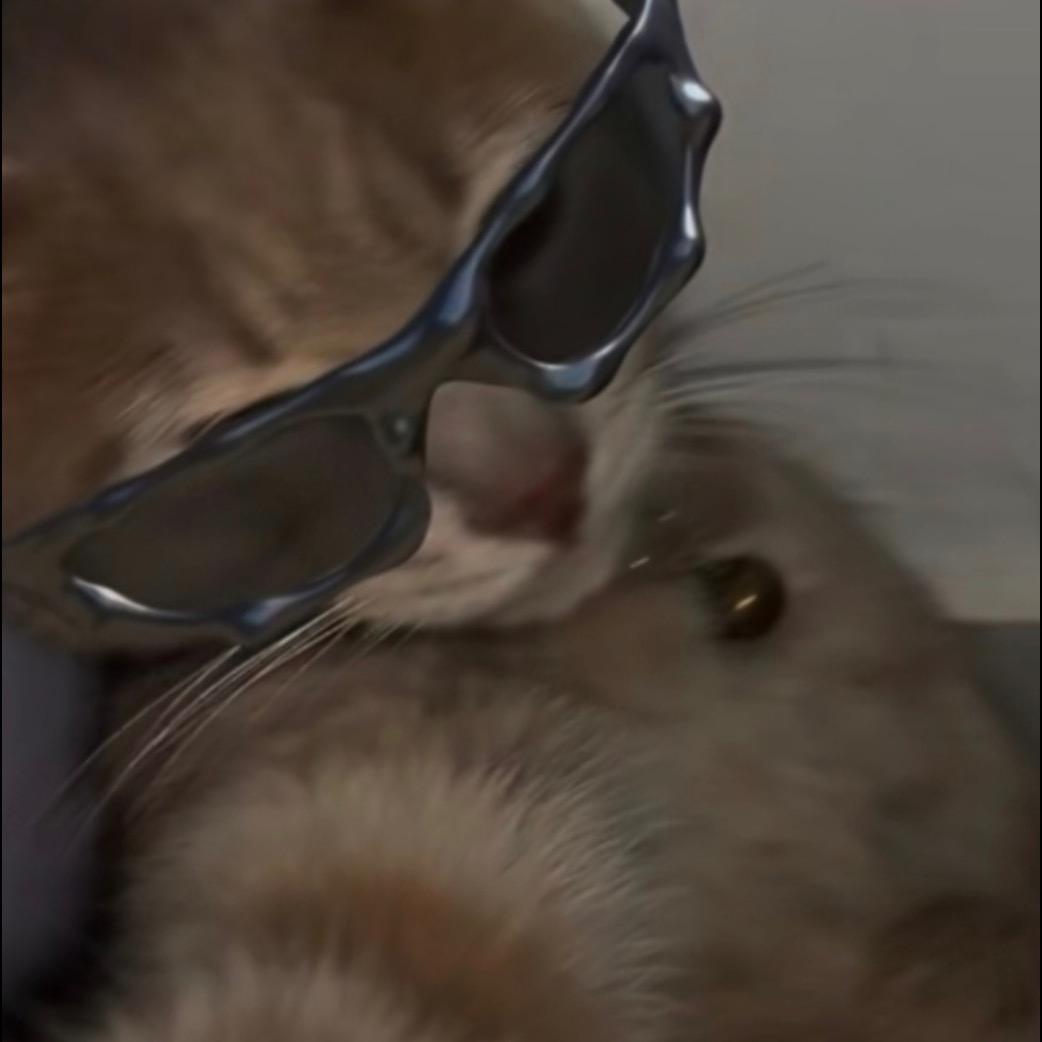 cool猫
