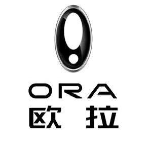 嘉兴锦智欧拉4S店