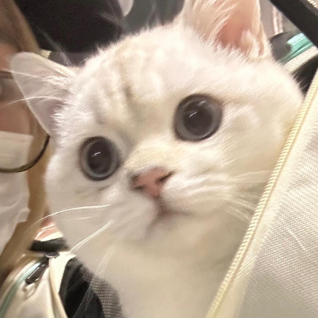 绿毛衣