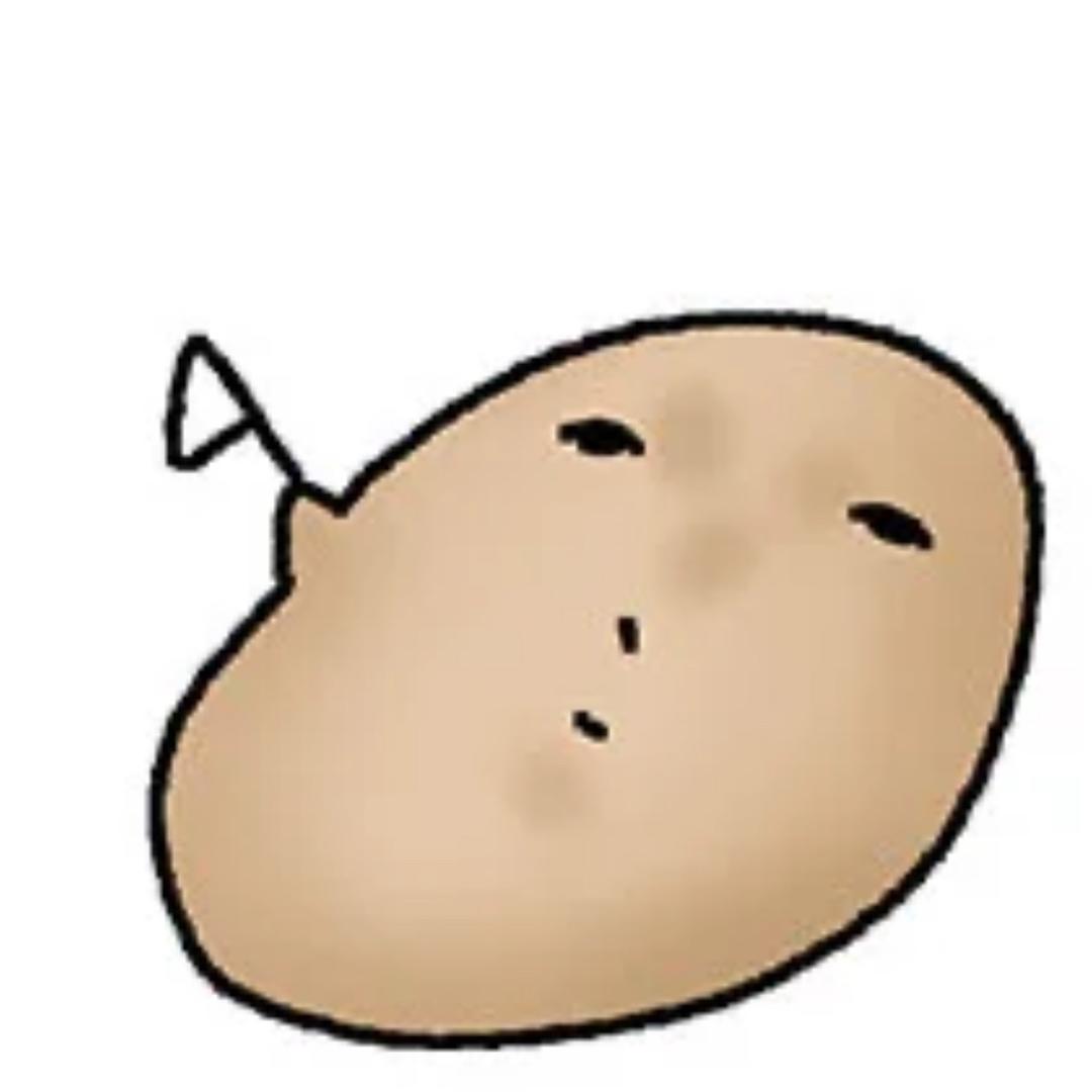躺平的土豆🥔