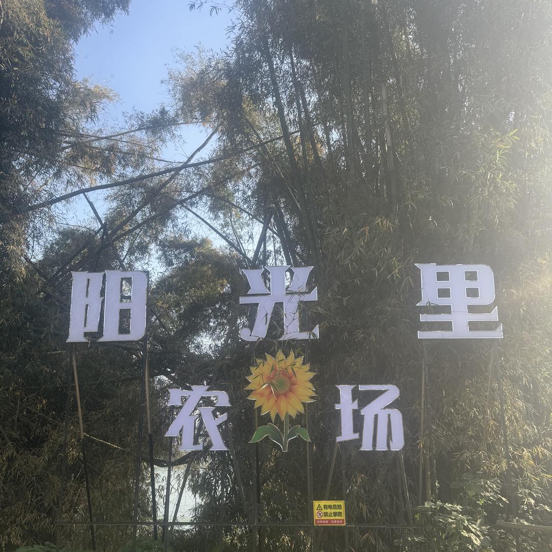 阳光里农场