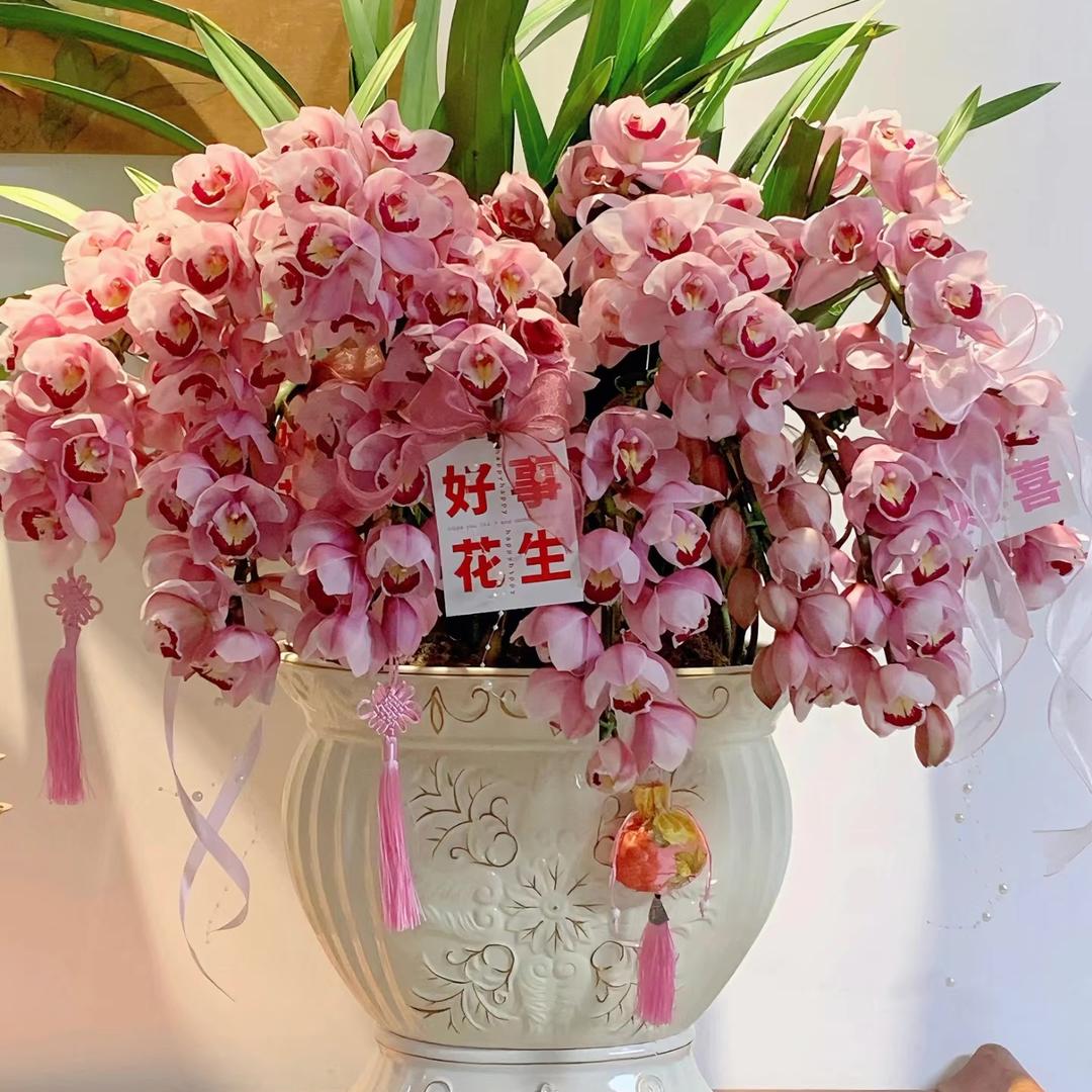 云都花园