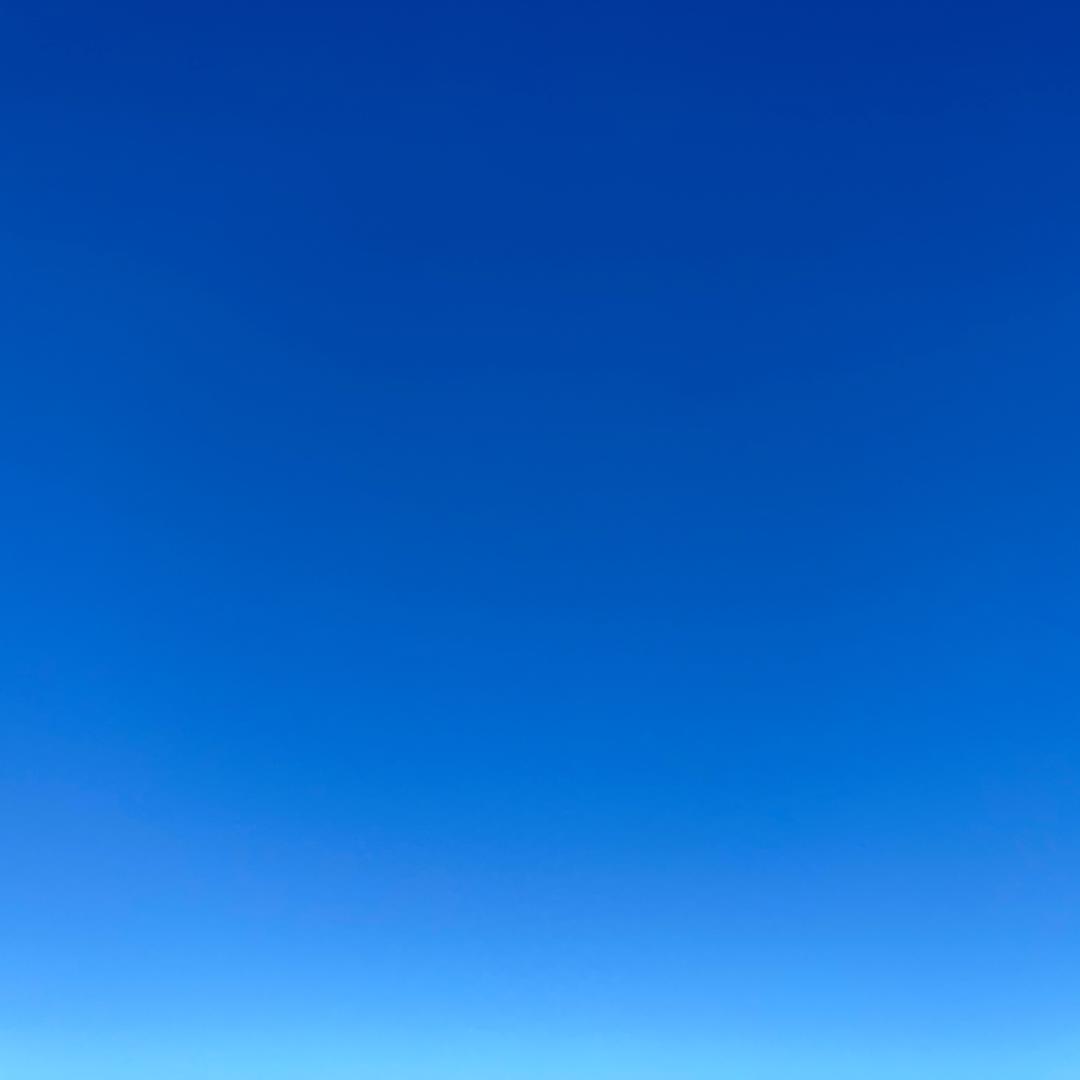 大金子