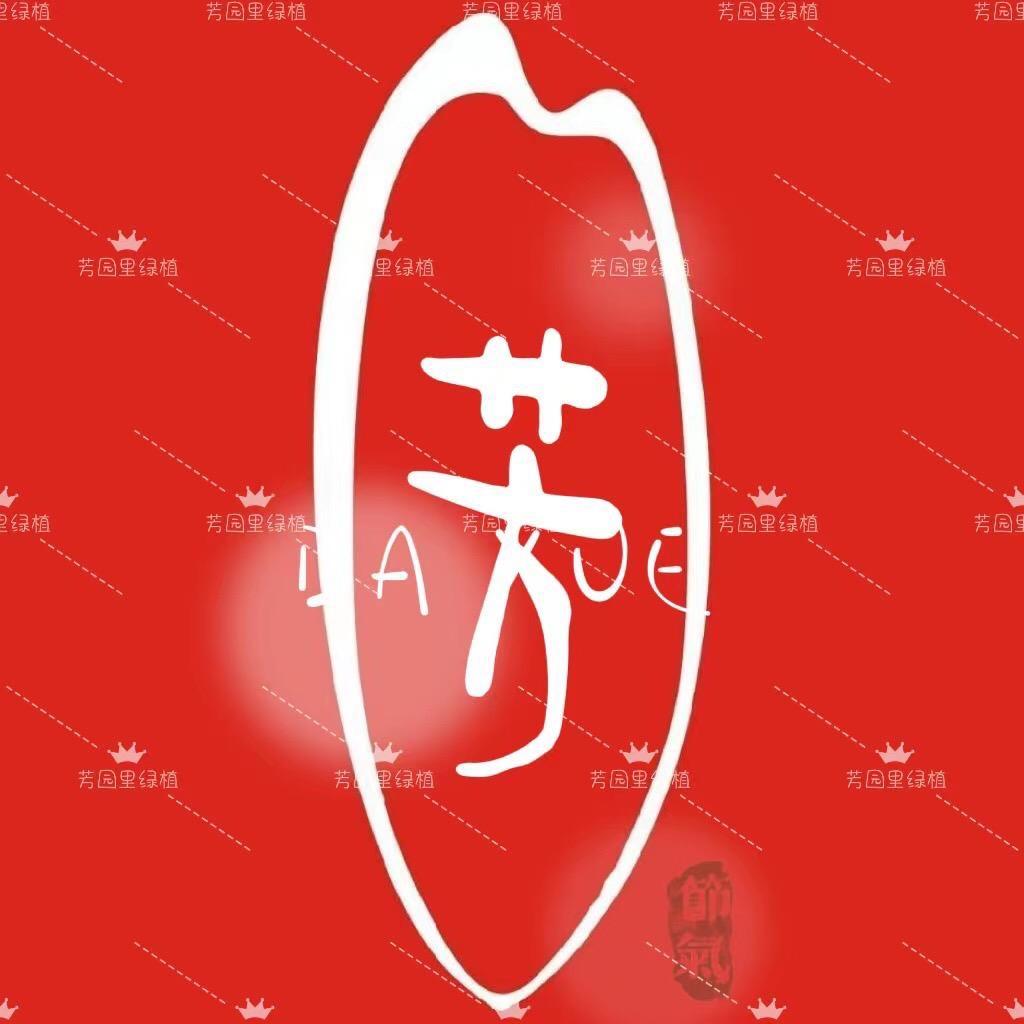 伴芳佳品园艺绿植