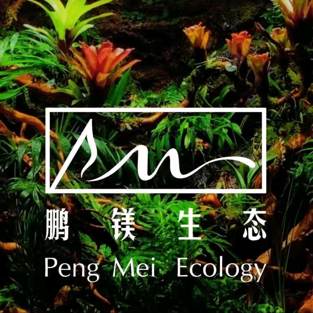 鹏镁生态水族工作室
