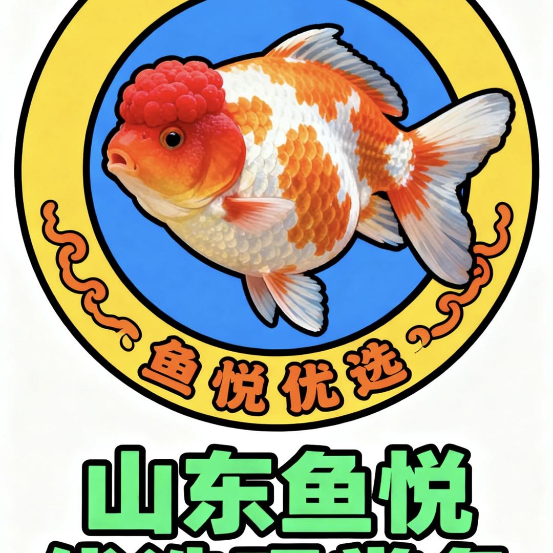 鱼跃观赏鱼