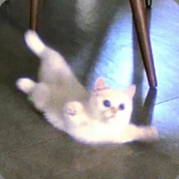 彤彤