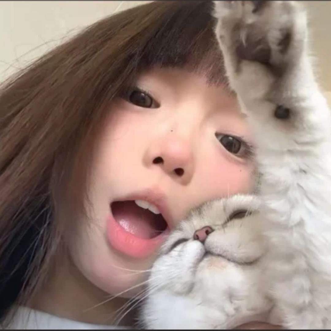 芋米🐾