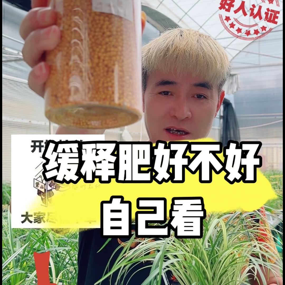 兰花太岁