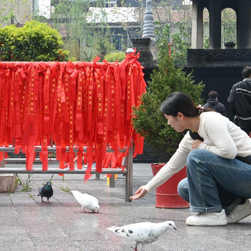 歆歆向前