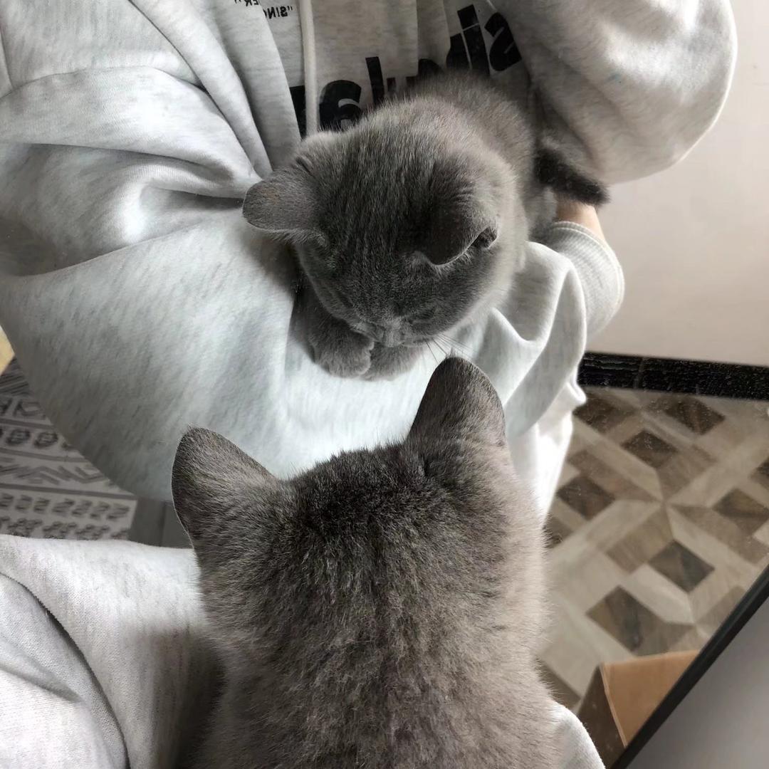 伤心猪大肠