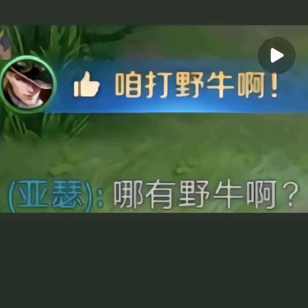 胖胖出击