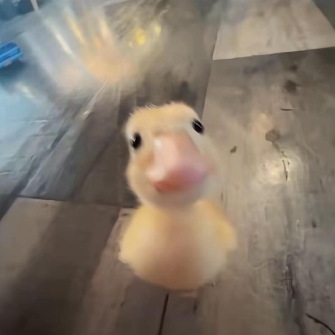 ooooo