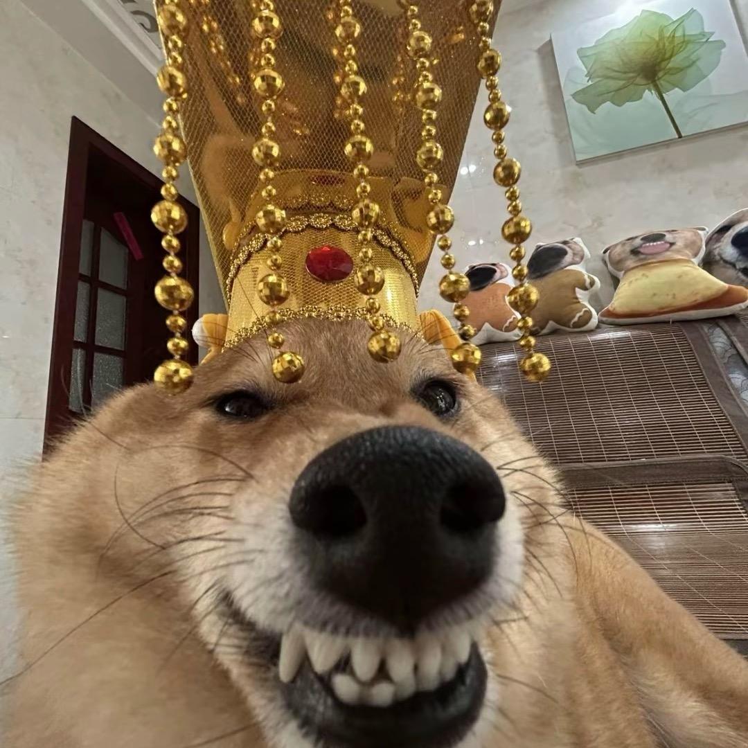 ♾