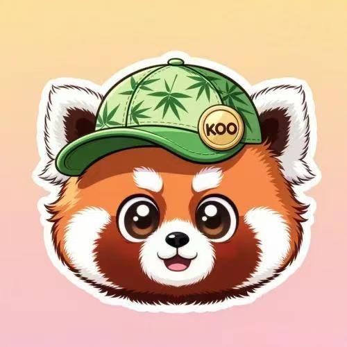 koo账号app