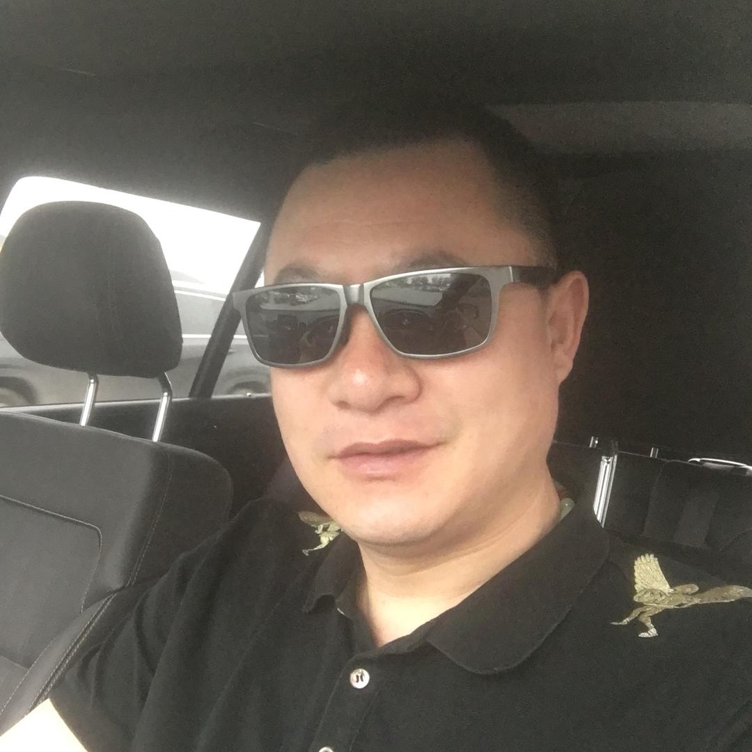 超越柏龄鸟