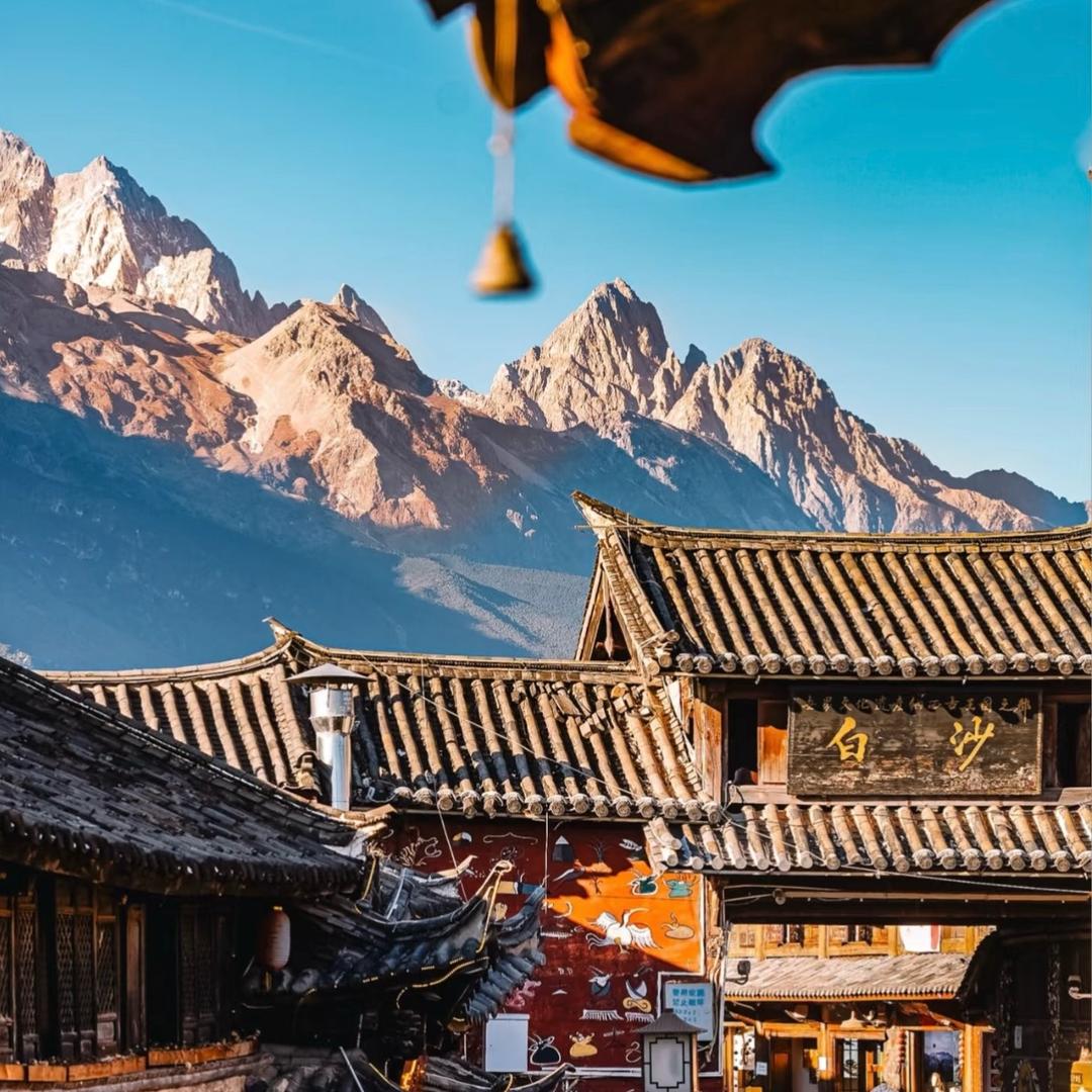 猫的树·星野观景美宿