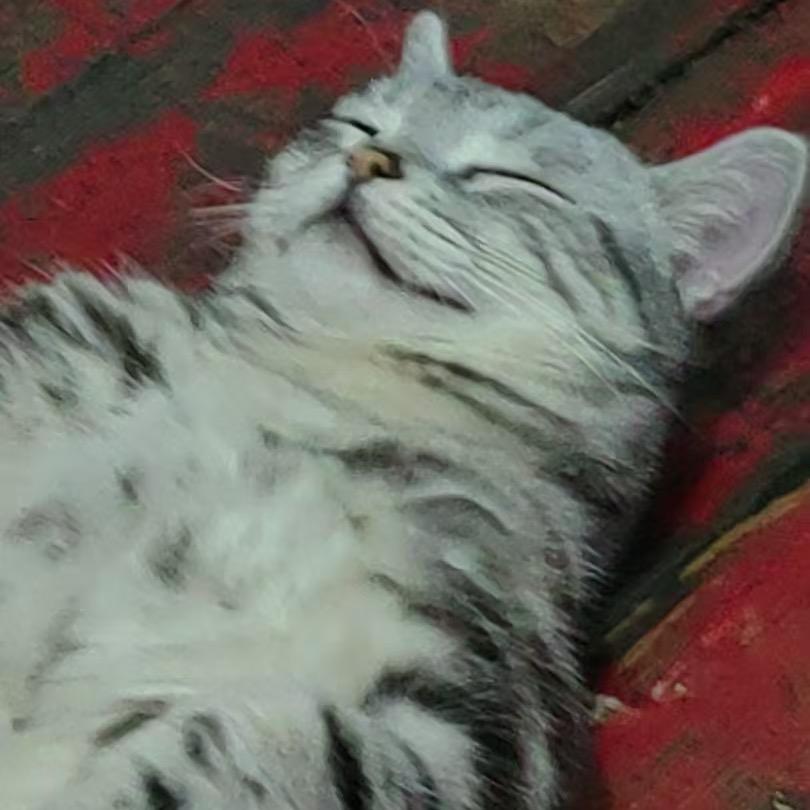 嘻嘻哈哈