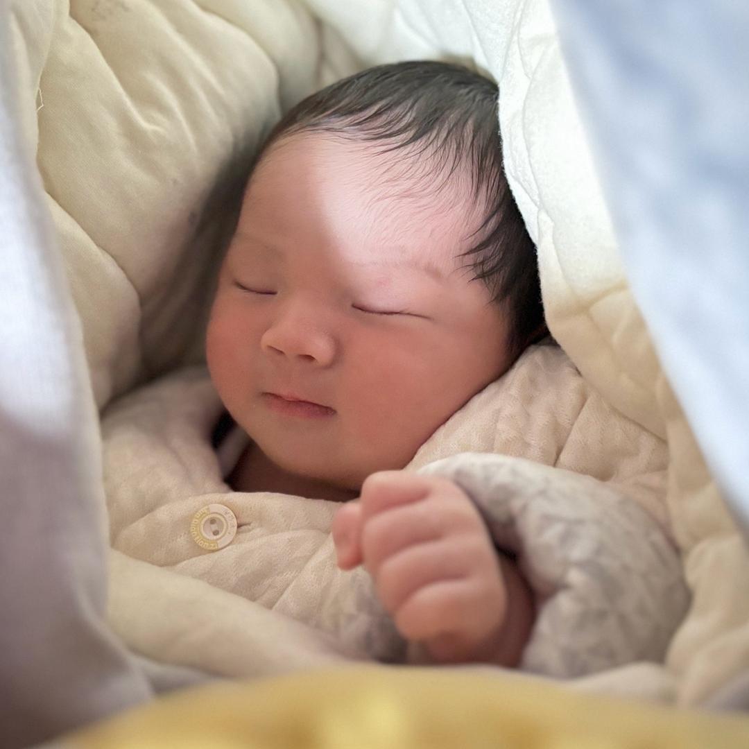 小六一（八月龄）