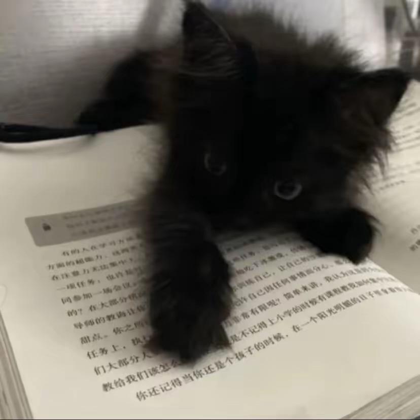鱼香琪子