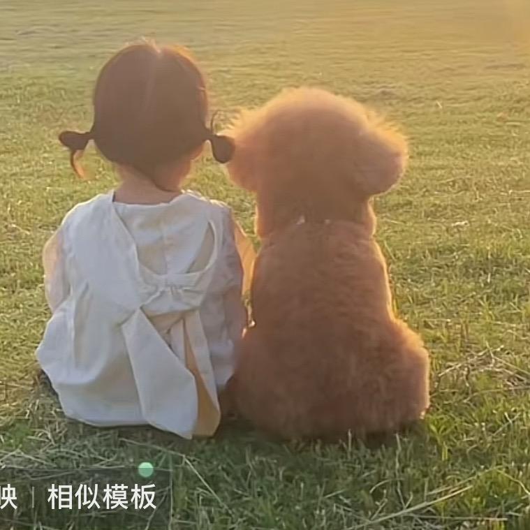 心💑💏心相印