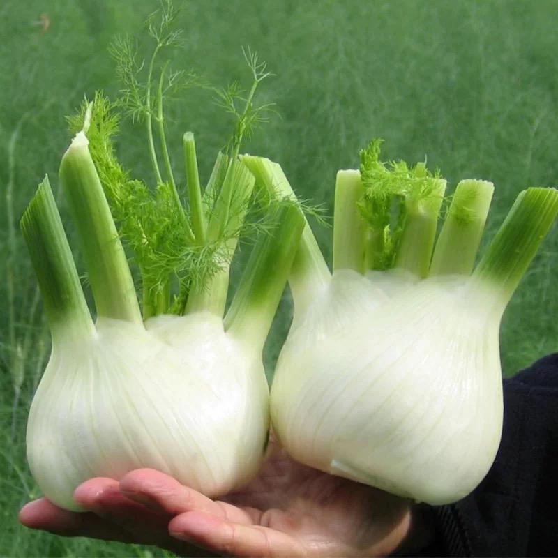 丰耕农业