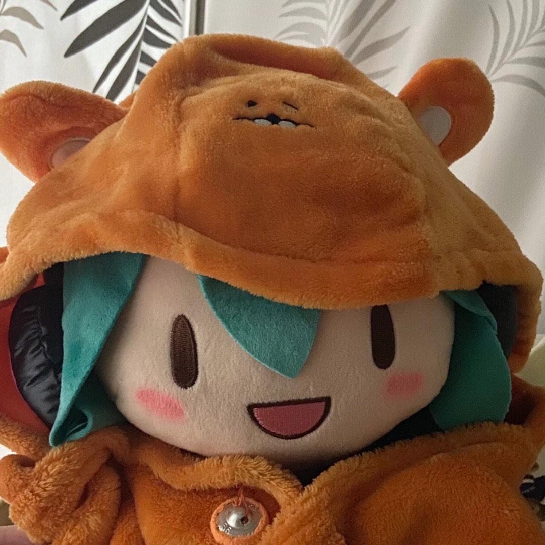 什么猫