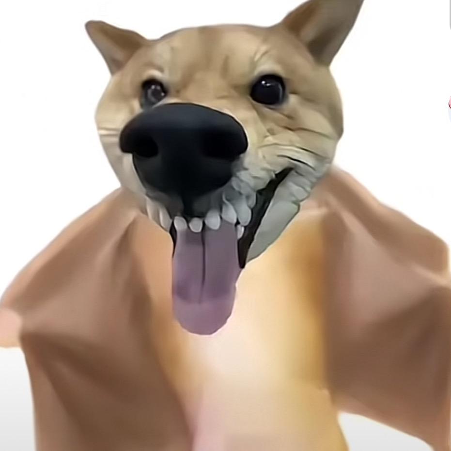 64404385