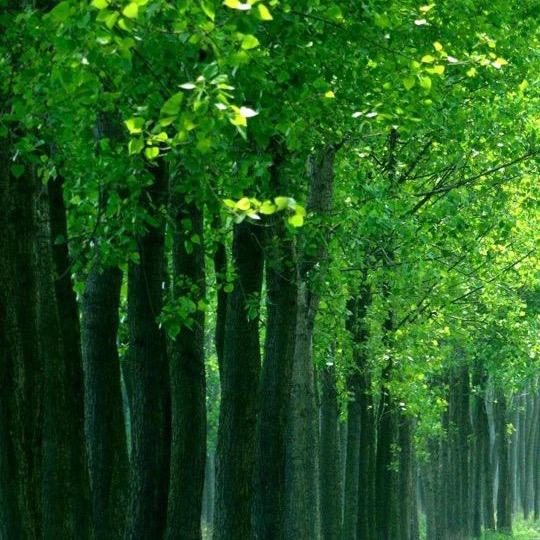 回不过去的曾经