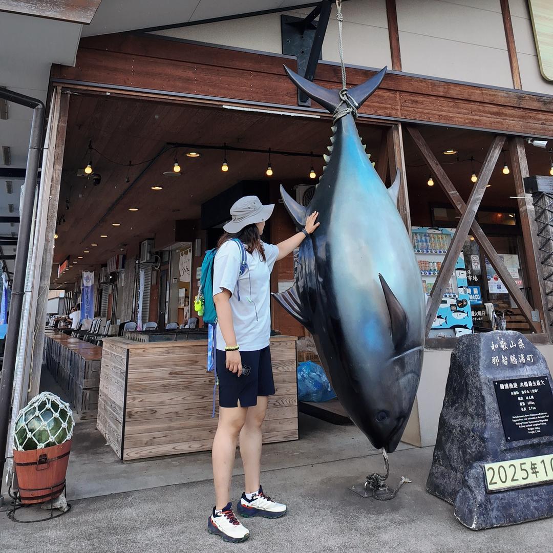 泰勒泰酷辣