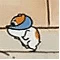 晴子