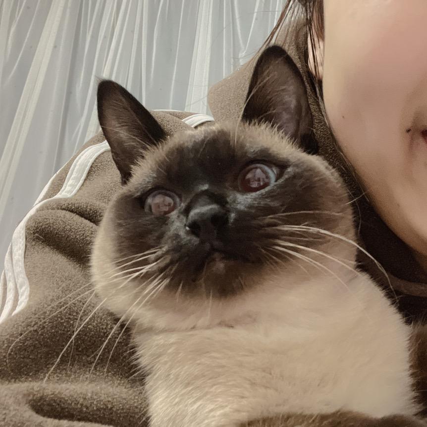 就慧这样～
