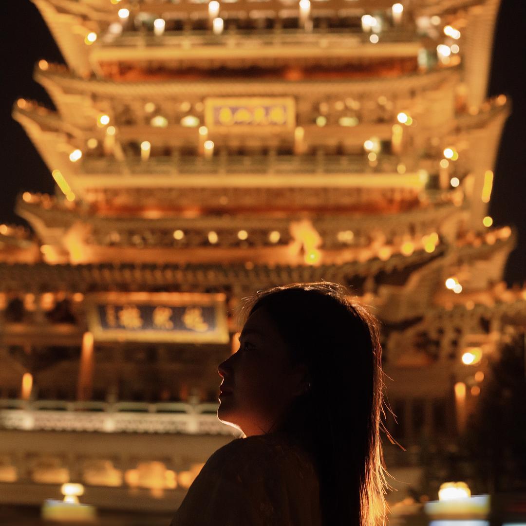 河北—霸宇液压油缸【齿轮泵】
