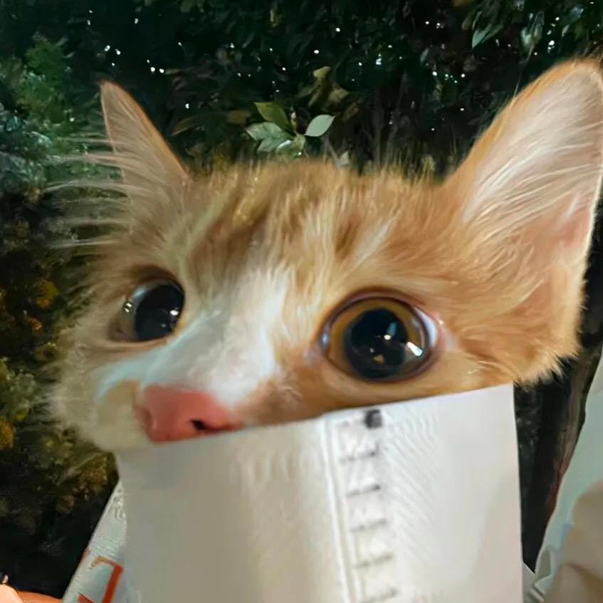 小鱼（百货超市）