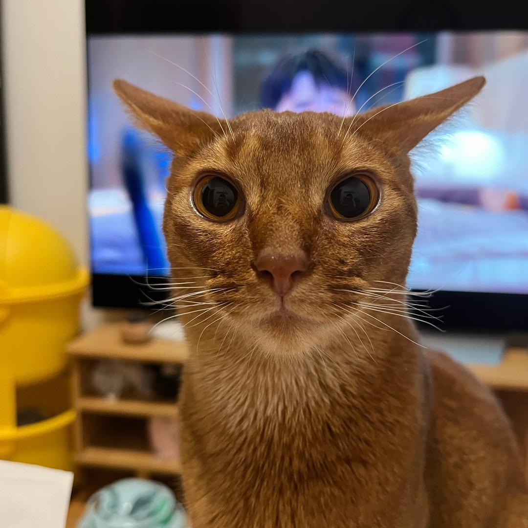 Jerry爱分享
