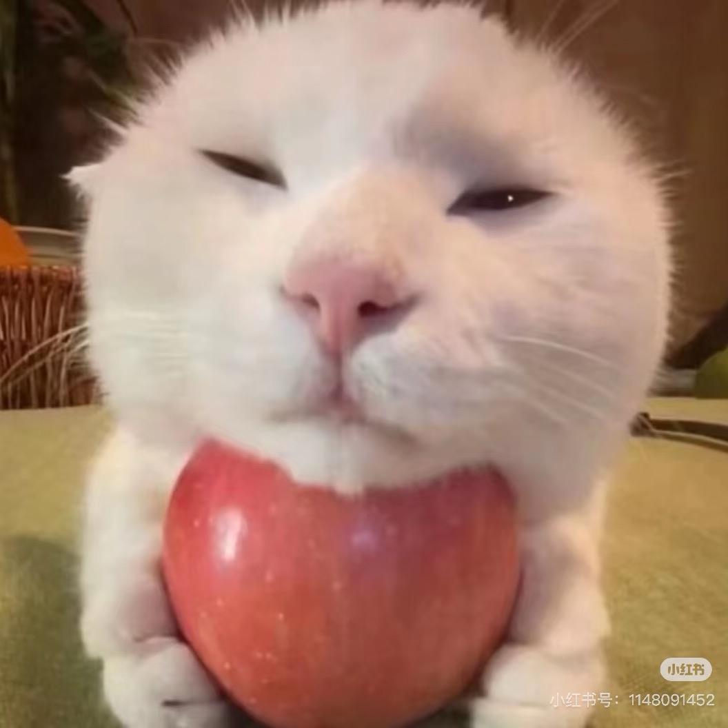 重生之小比归来