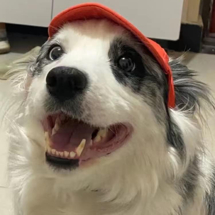 愤怒的打工人55