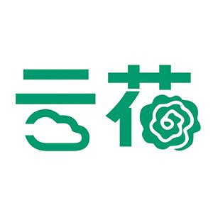 云花批发丨青宇