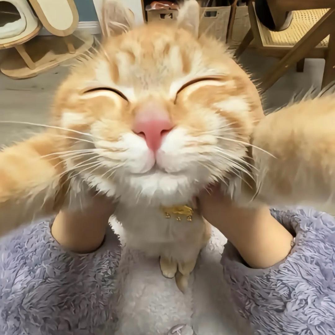 不知道