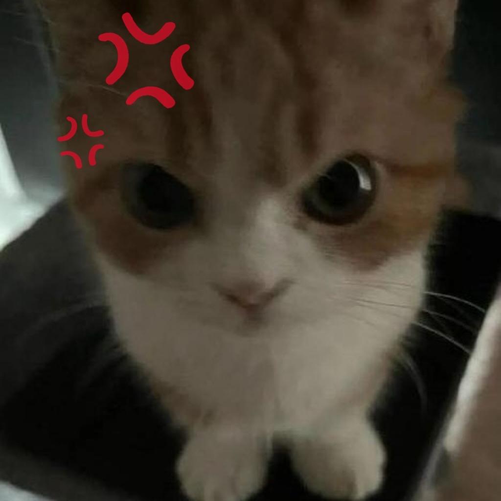 仁积