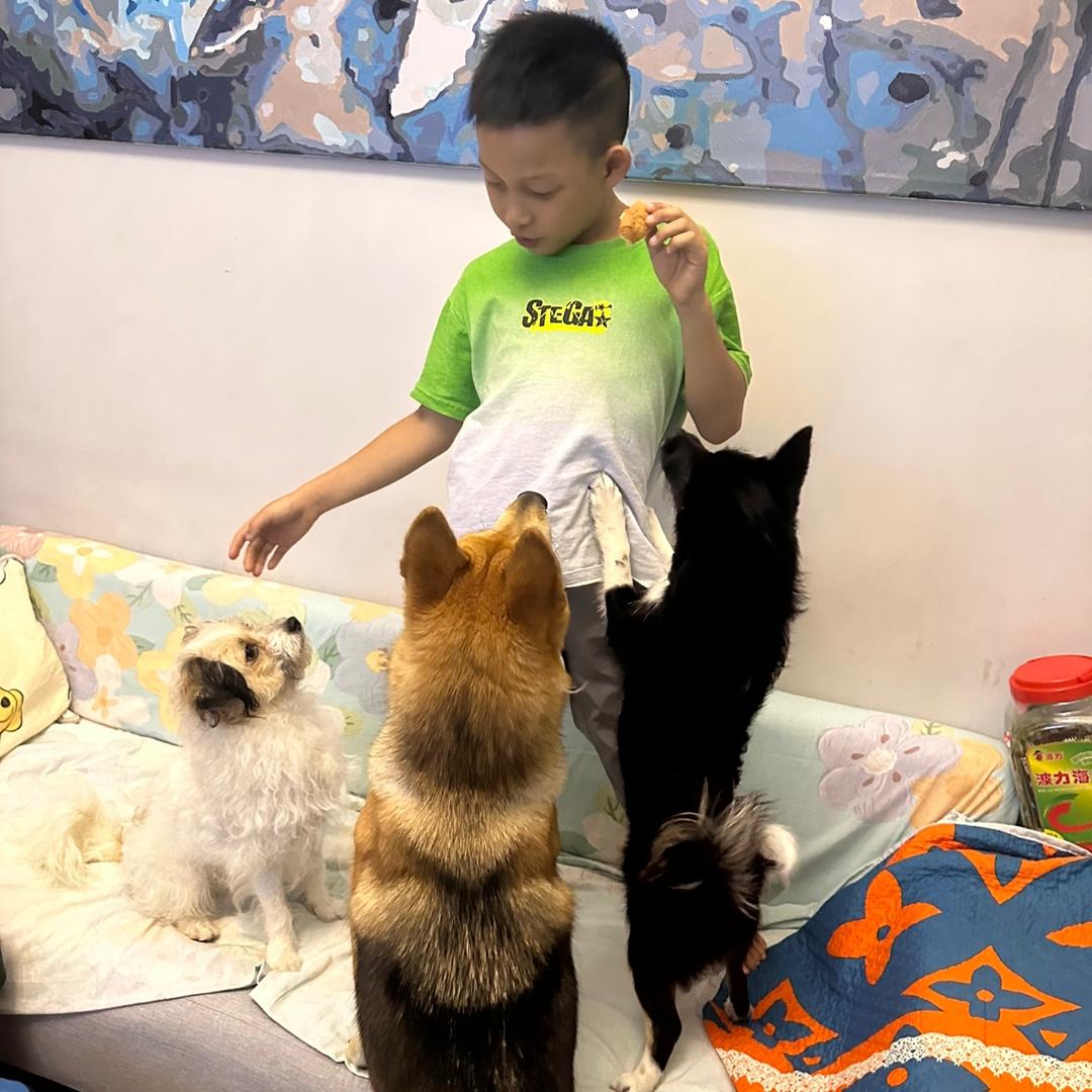 旺旺旺🐕‍🦺